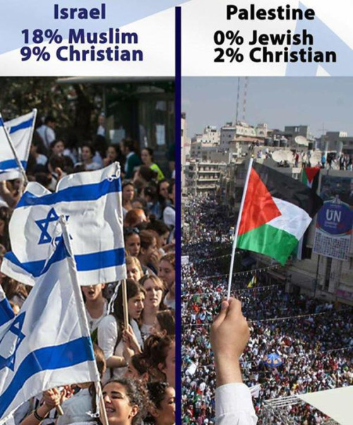 israel and palestaine tolerance compared